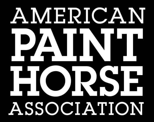 We promote, preserve and provide meaningful experiences with Paint Horses.