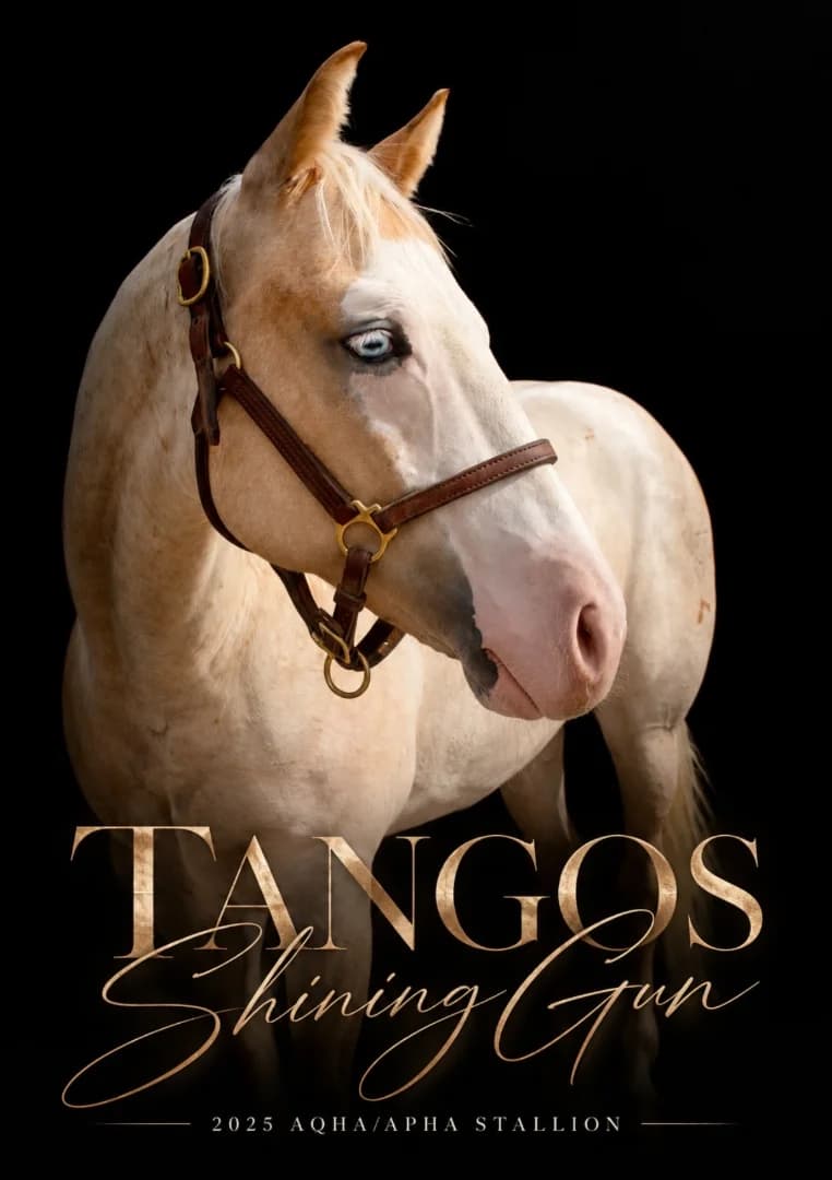 Tangos Shining Gun image