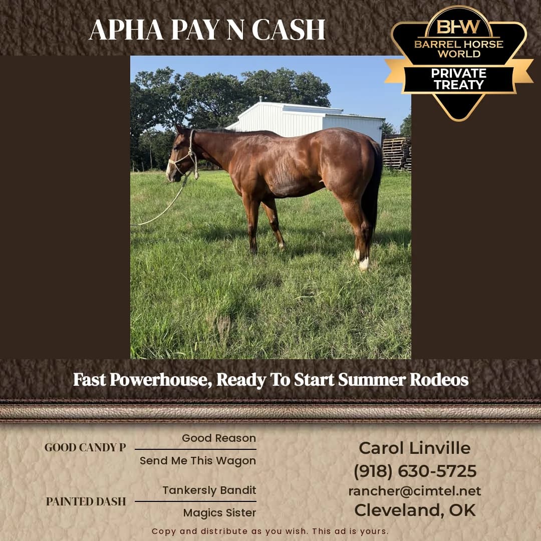 Pay N Cash Pay N Cash backdrop