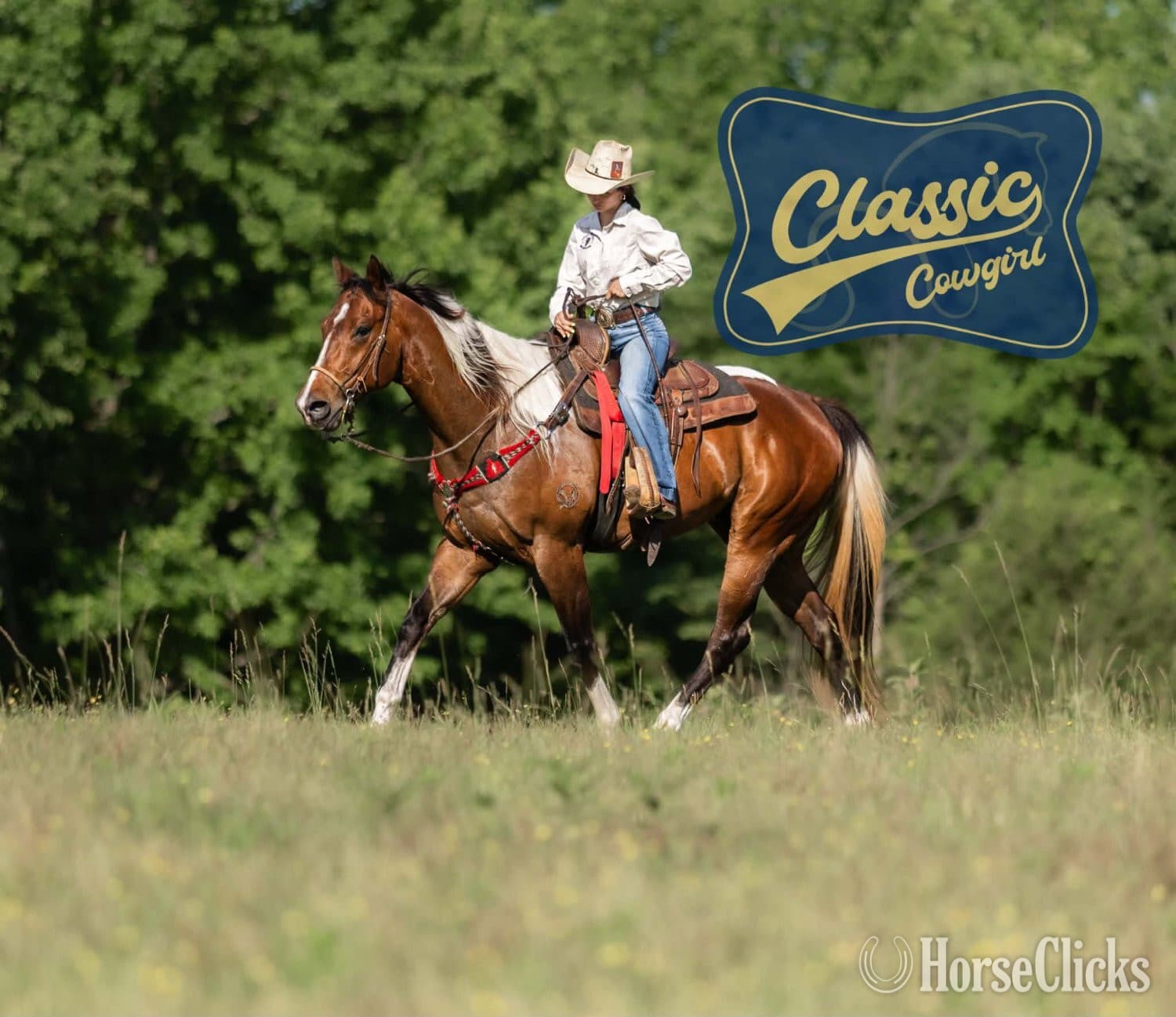 "JIMMY" Tabiano Gelding Paint "JIMMY" Tabiano Gelding Paint backdrop