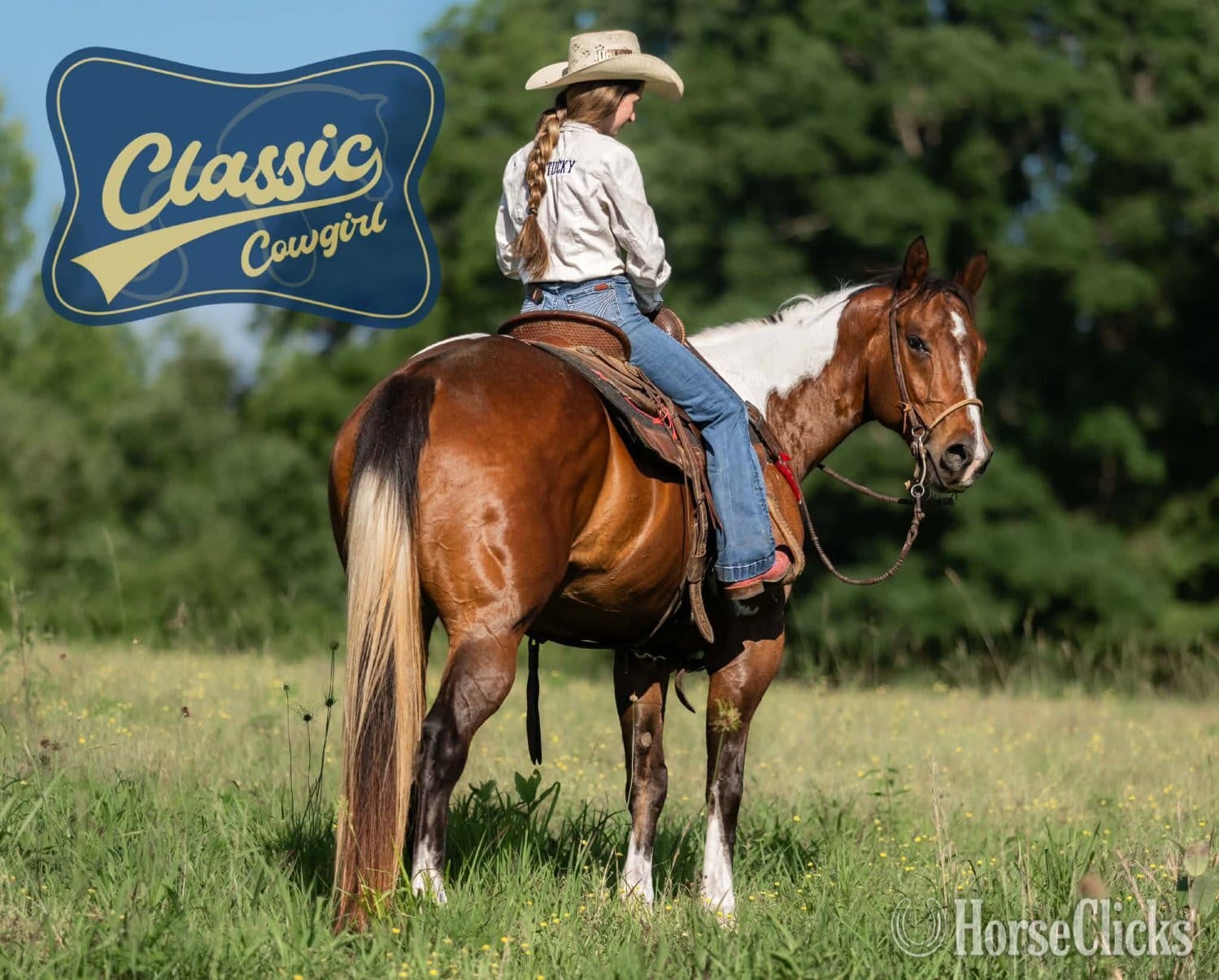 "JIMMY" Tabiano Gelding Paint "JIMMY" Tabiano Gelding Paint backdrop