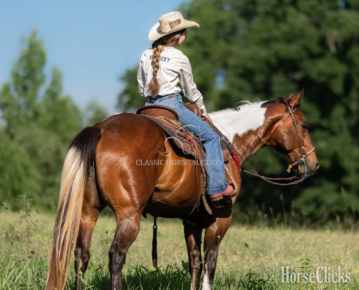 "JIMMY" Tabiano Gelding Paint "JIMMY" Tabiano Gelding Paint backdrop